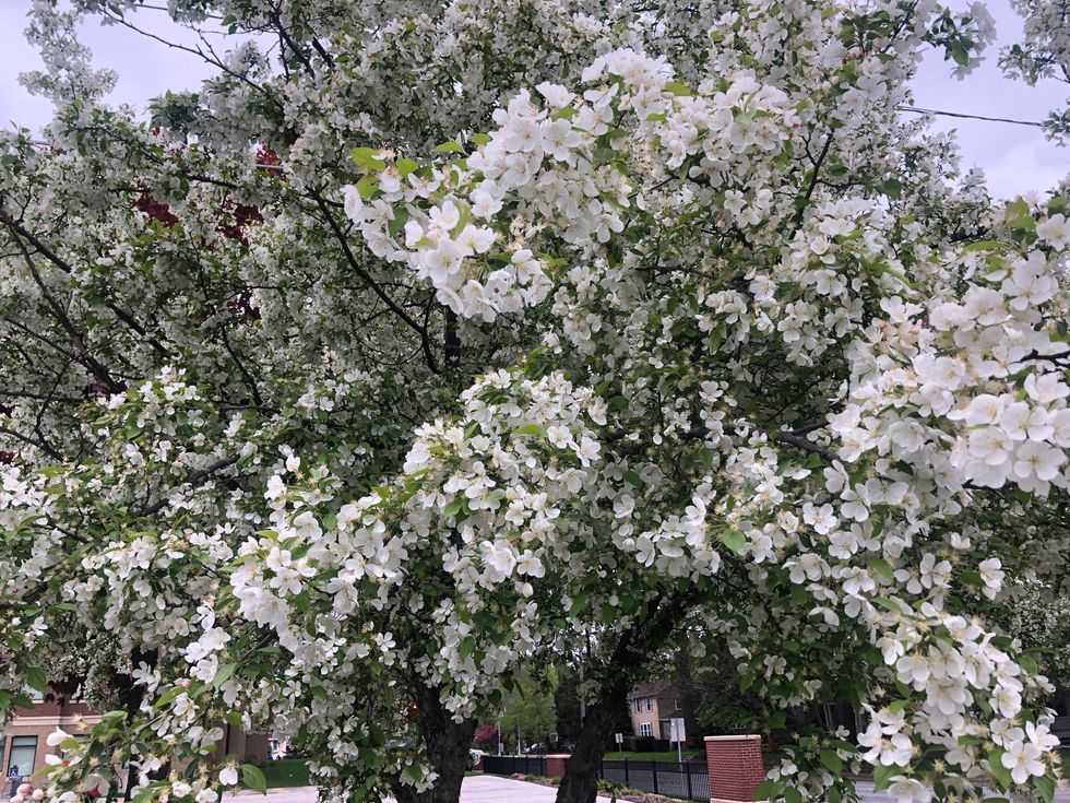 Accomplishing Big Things In Little Time