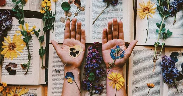 8 Books That Changed My Life