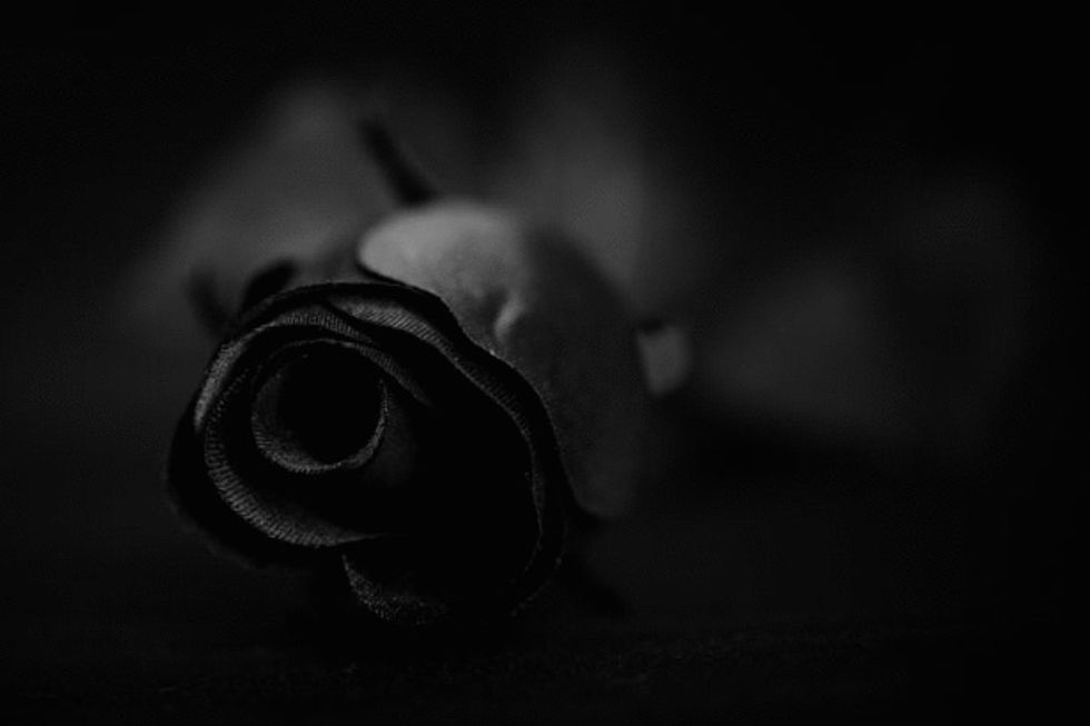 Twisted Parts of a Rose Herself