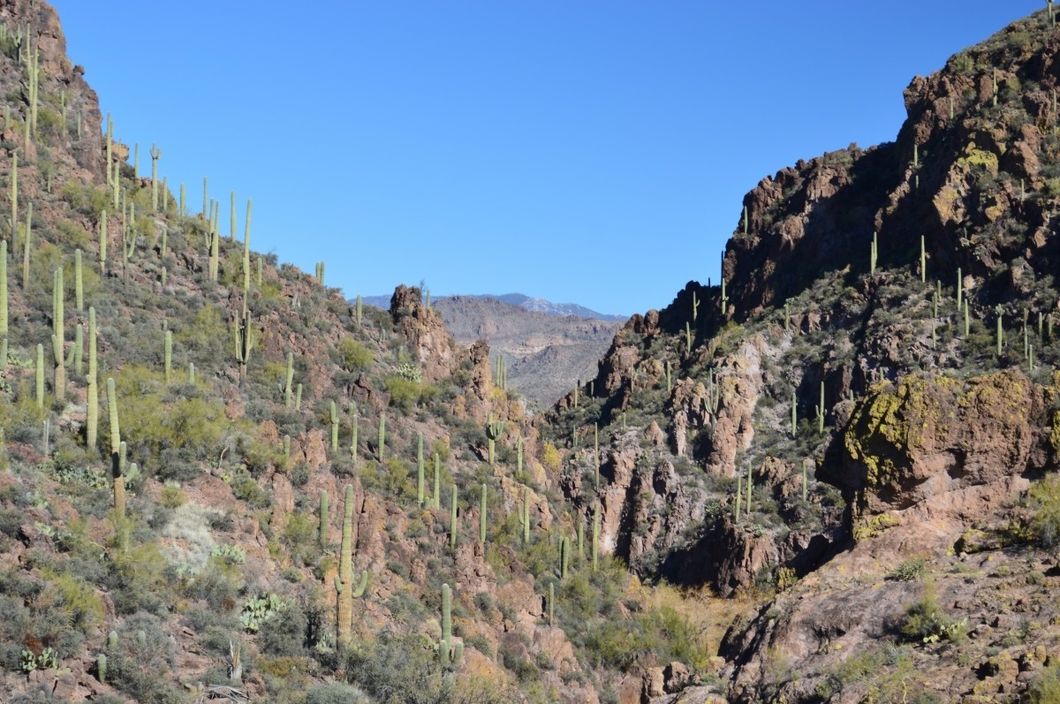 The 3 Best Hiking Trails In The Phoenix Metropolitan Area