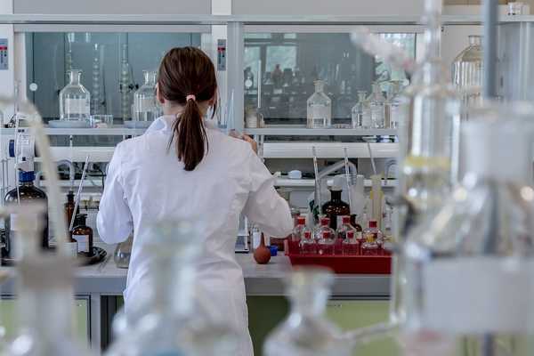 4 Reasons Why You Should Do Research as an Undergraduate