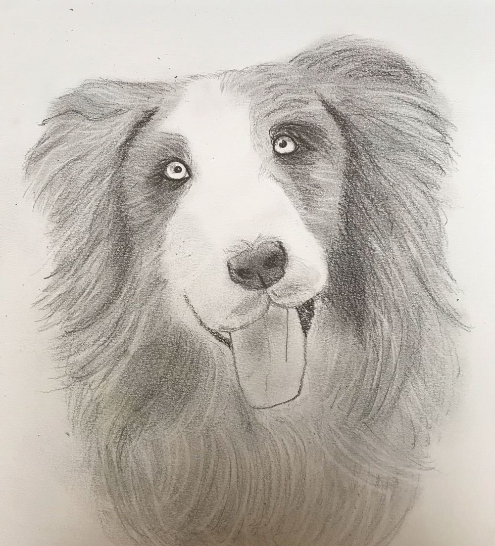 Technology Proves that Plato the Philosopher Was Wrong