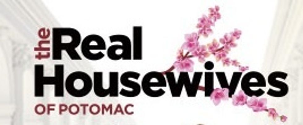 The Real Housewives Of Potomac Is My Guilty Pleasure