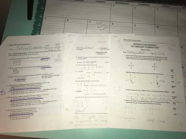 Undergraduate Grades Are Nothing To Get Upset Over, As Long As You Tried Your Best