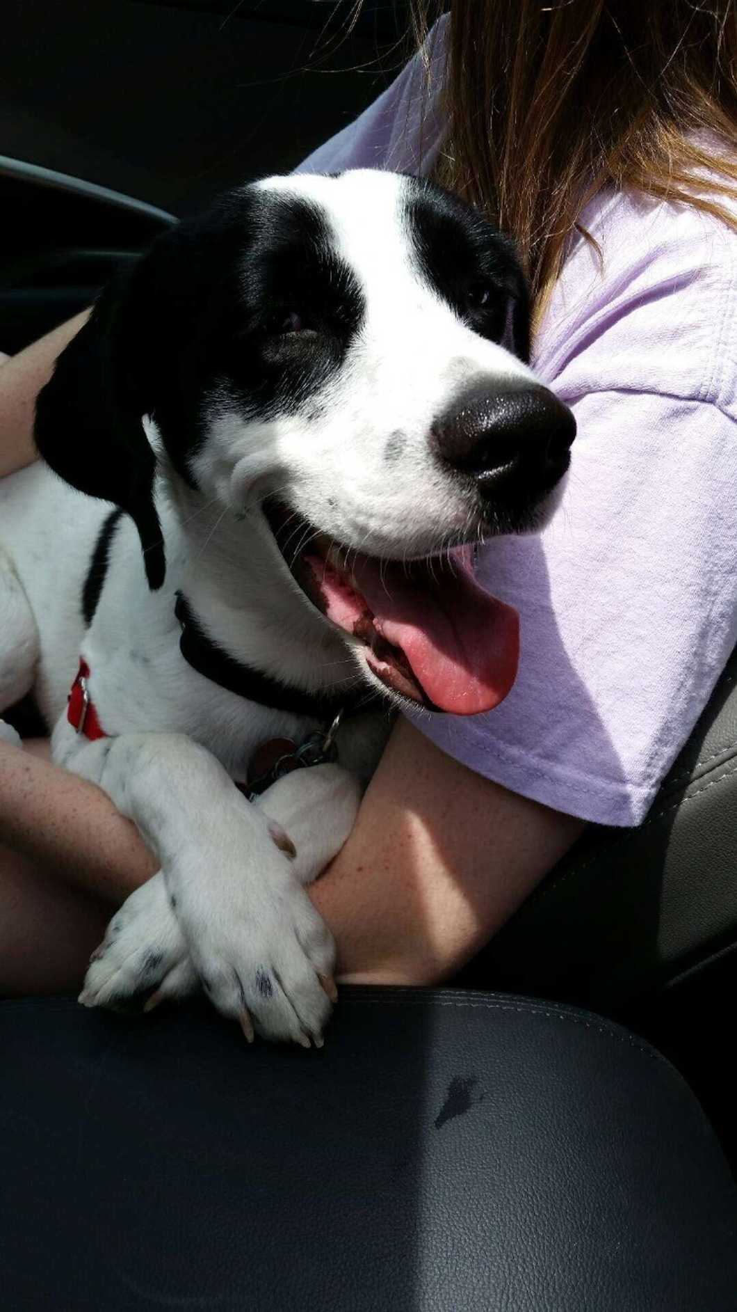 17 Reasons Why Your Dog Is Your One, True Homie