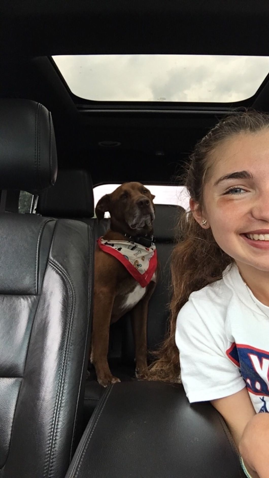 To My Dog, Who Was Gone Too Soon, I Hope You're Doing Everything You Love In Doggy Heaven