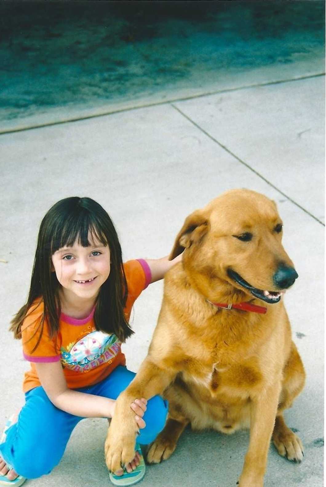 My Dog's Last Thoughts On The Hardest Day Of My Life