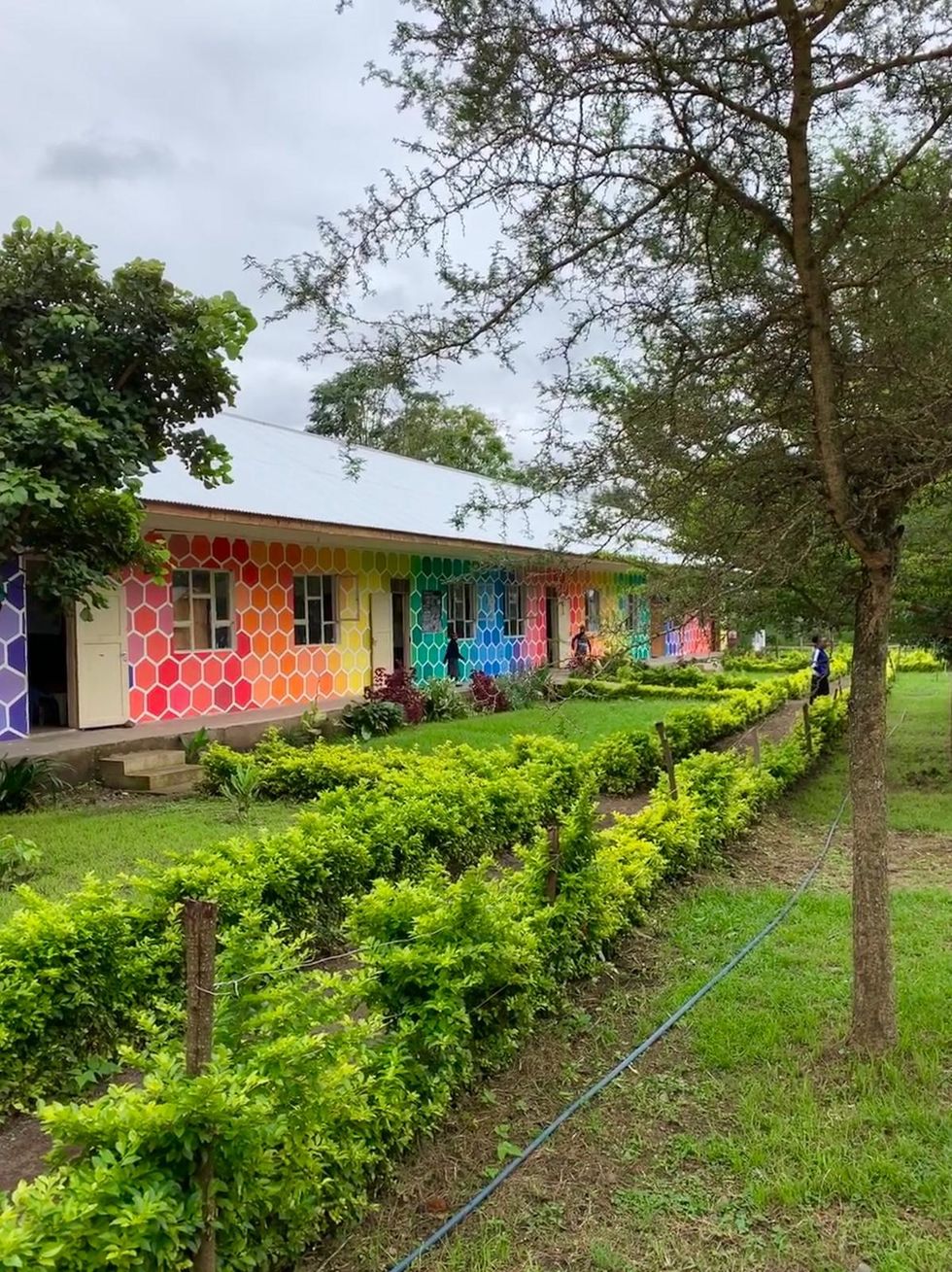 Summer at the Rainbow Beehive