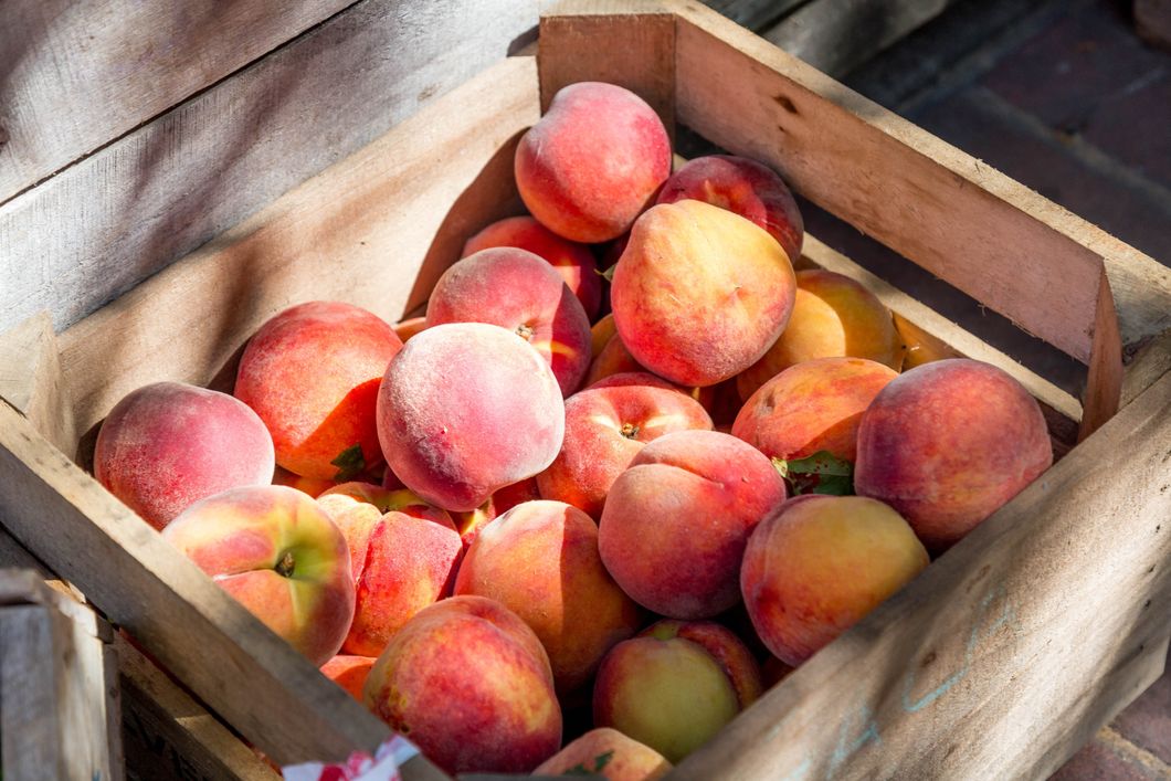 The 4 Main Differences Between North Georgia And South Georgia, As Told By A True Georgian Peach