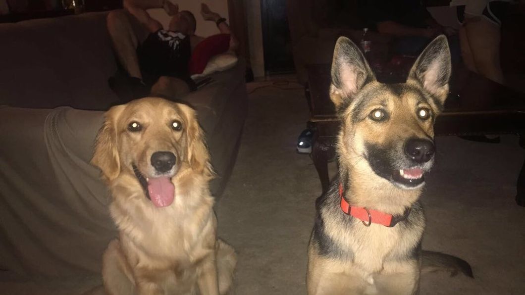 23 Reasons Why Your Pets Are Your BFFs