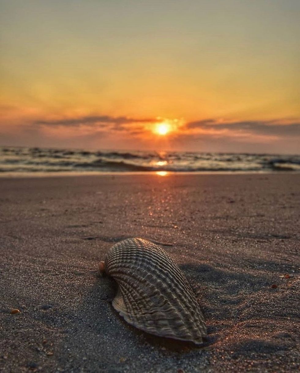 The 6 Best Beaches To Visit On The East Coast