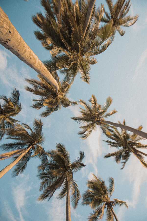 19 Songs For The Ultimate Summer '19 Playlist
