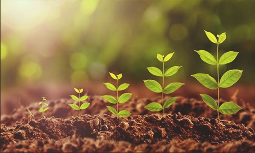 4 Ways To Be More Environmentally Friendly In College