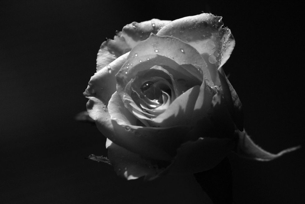 I Wonder If You'd Be Proud of Me