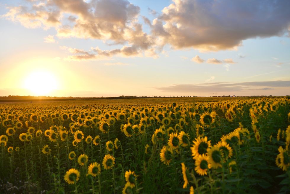 35 Of Life's Little Moments Worth Stopping To Appreciate