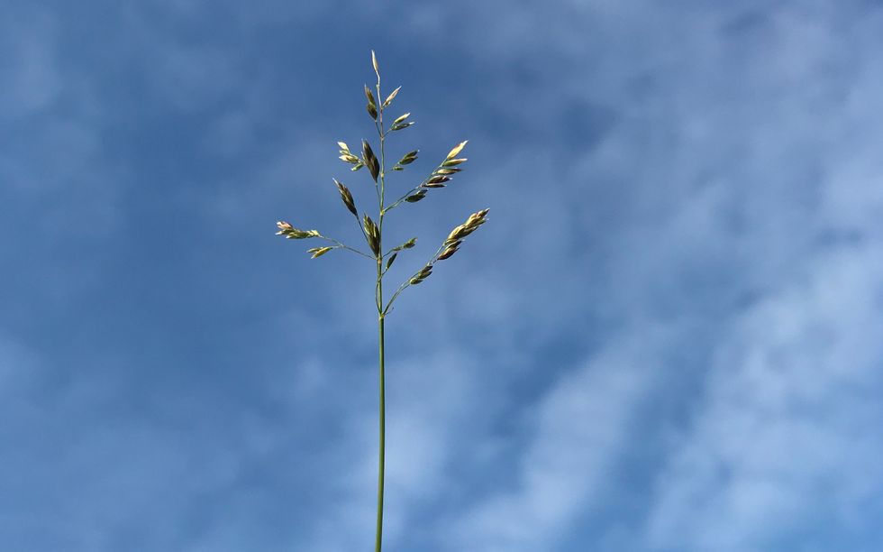 Mourn The Losses Because They Aren't Insignificant