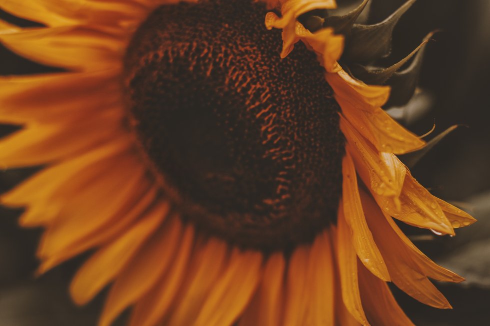14 Quotes To Help You Live Out A Positive Lifestyle