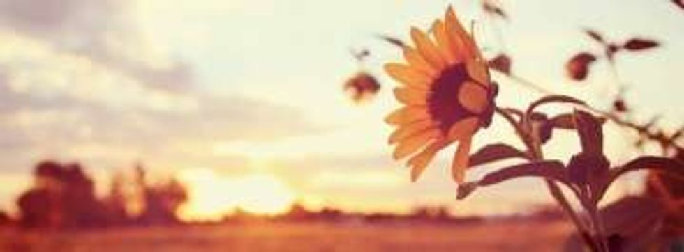 To those I wish could’ve met my mom