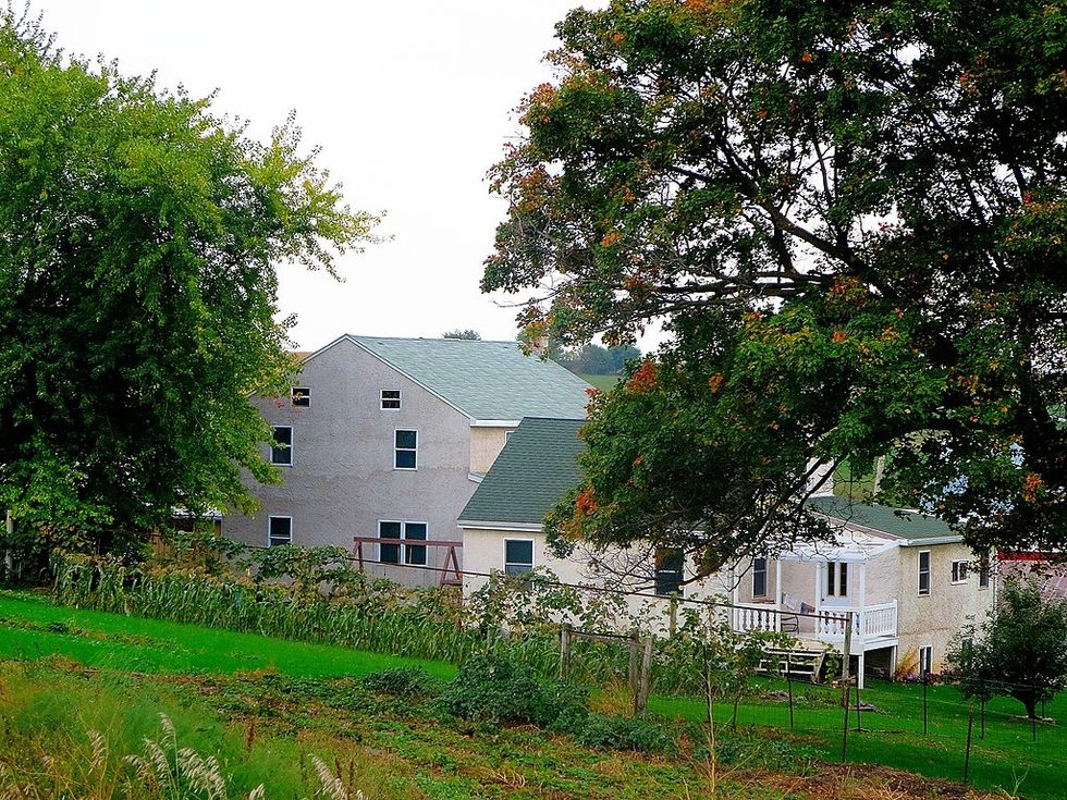 A Cosmopolitan Girl At An Amish Family Reunion