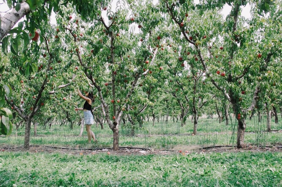 10 Things You Should Do The Summer Before Your Freshman Year of College