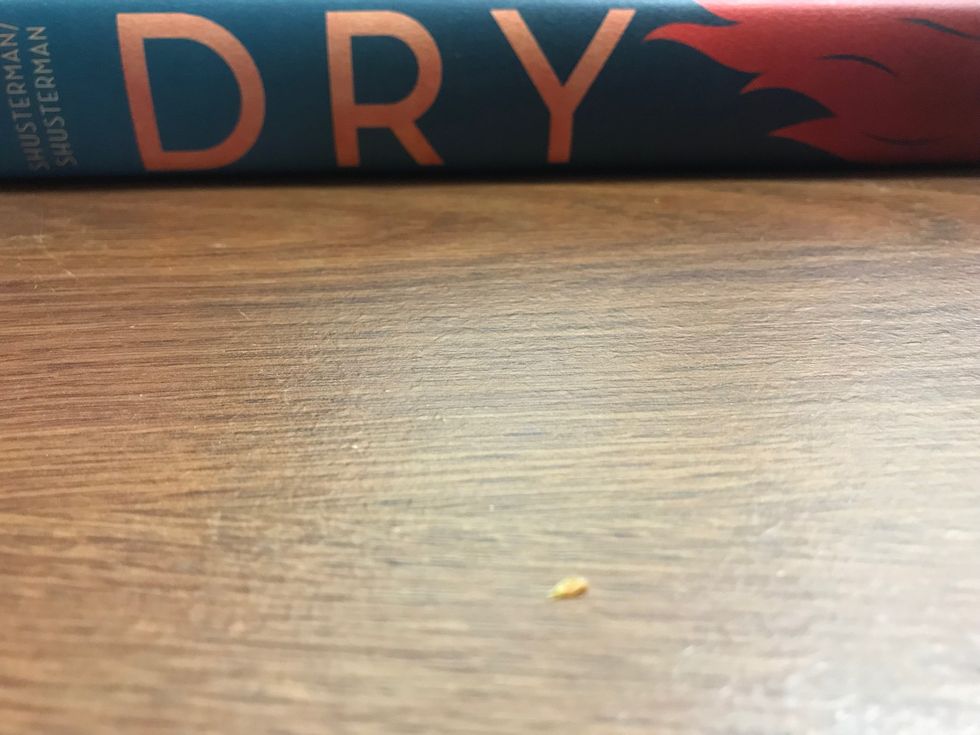Dry A Book Review The Odyssey Online