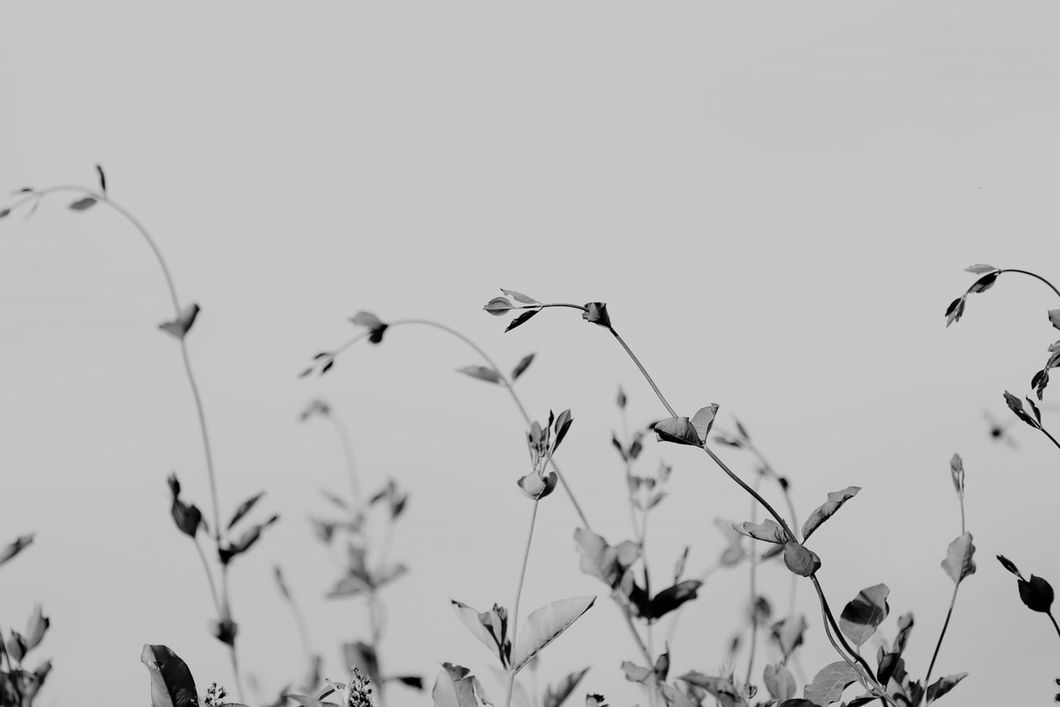 Poetry On The Odyssey: Pointless