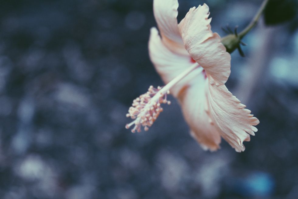 It's Okay to not be Okay