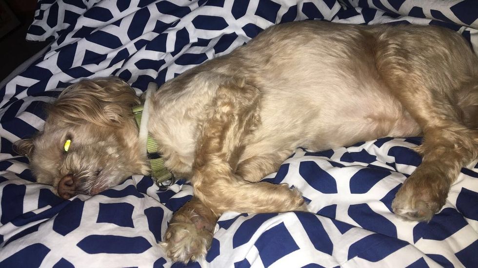 Goodbye To Our Favorite Family Member