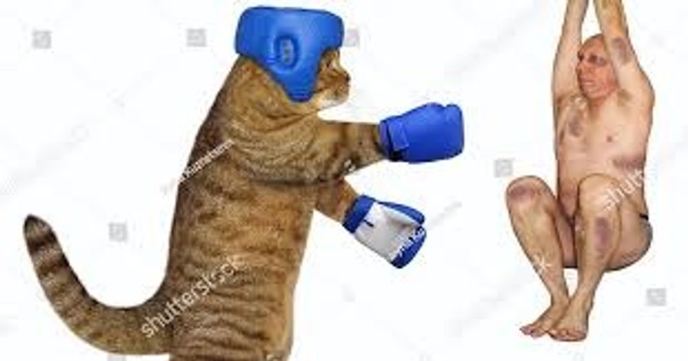 17 Stock Photos That Will Make You Question Everything