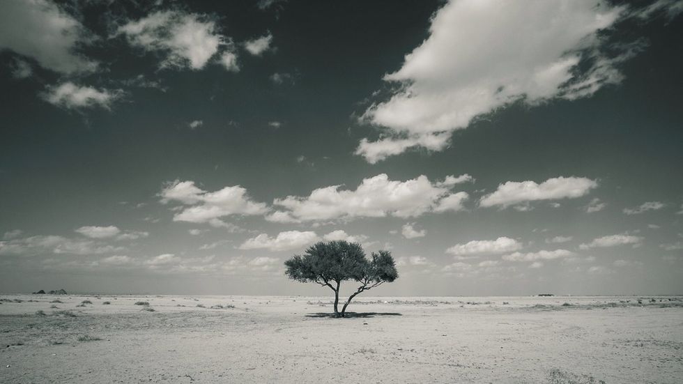 Poetry on Odyssey: Definition Poetry