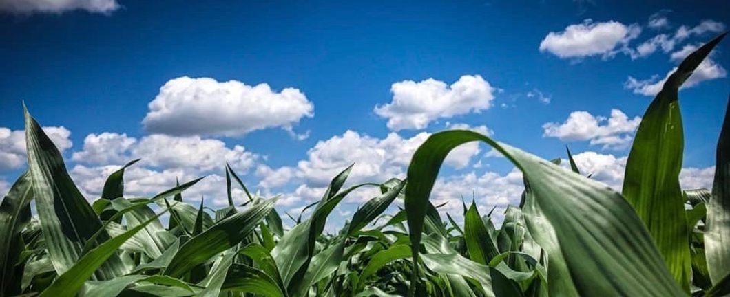 Say What You Want About A Small Town, But We Really Are One Big Family