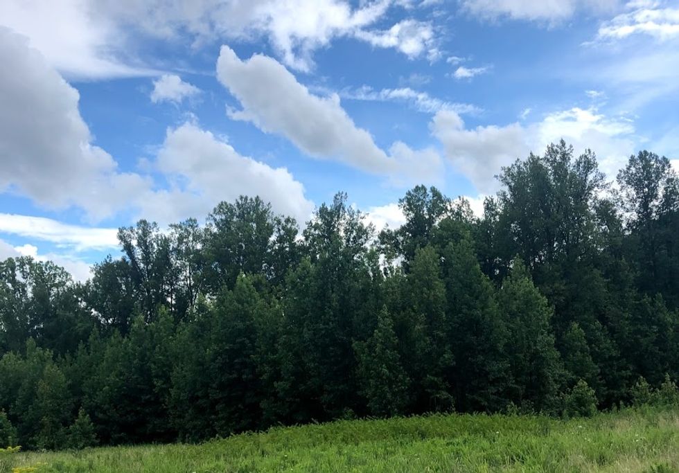 Ditch The Beach For Your Next Vacation