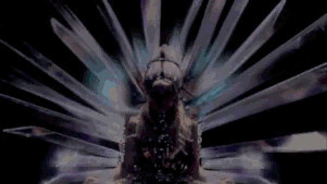 The Signs as Lady Gaga Songs