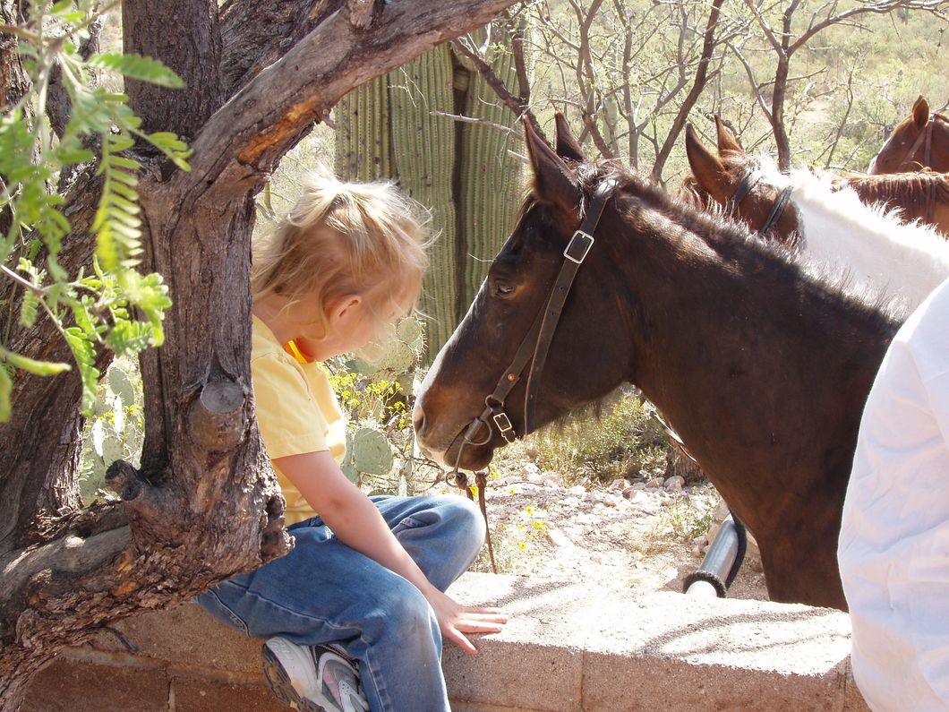 11 Reasons Growing Up On Farms Shapes Kids Into Better Adults
