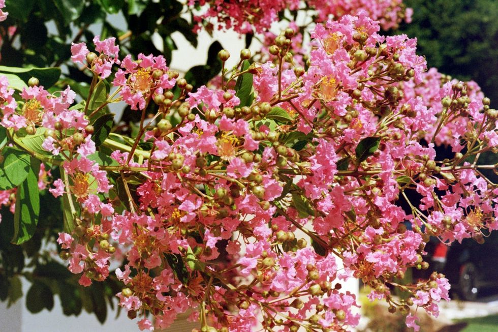 What People Don't Want to Tell You About Anxiety/Depression