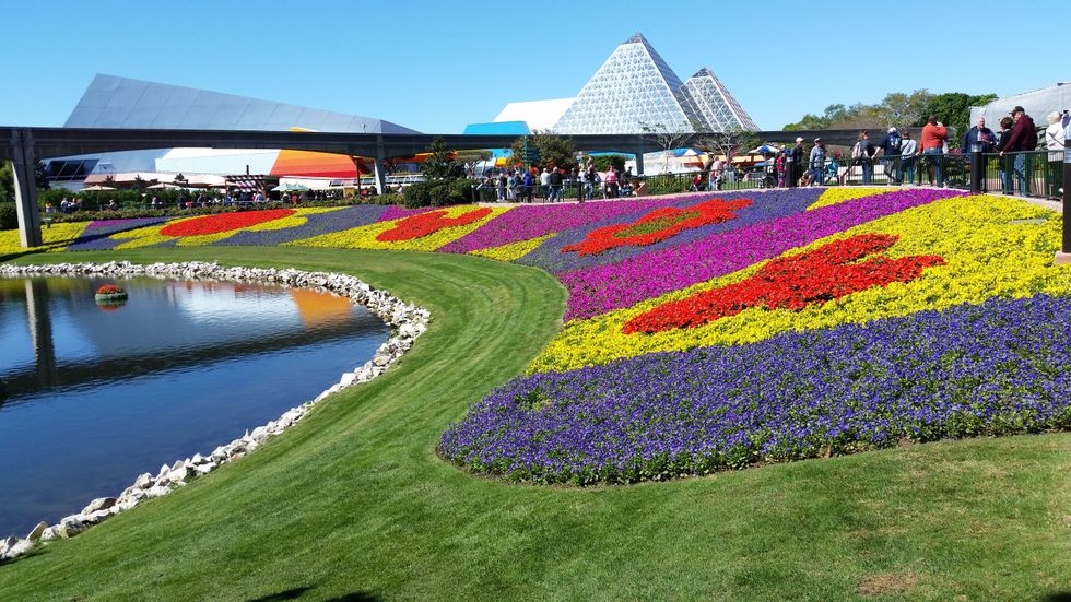 5 Non-Disney things to do in Florida