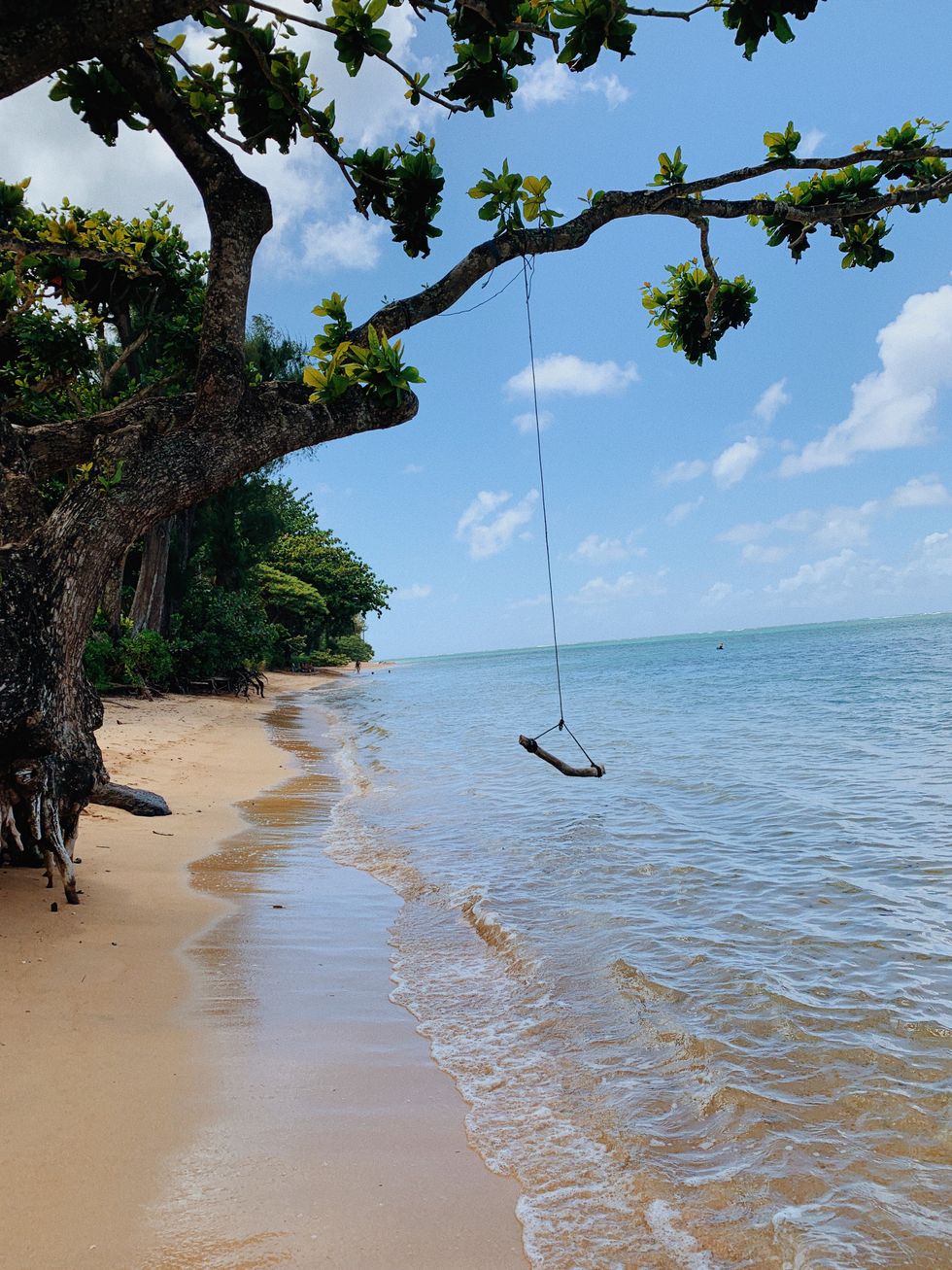 The Truth Behind One of America’s Favorite TV Shows