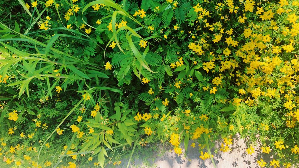 Thoughts Every College Student Has While Home For the Summer