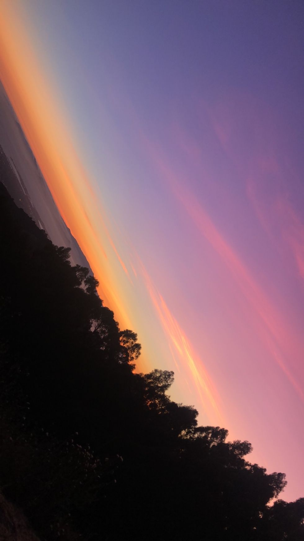 5 Things To Do In The Bay Area