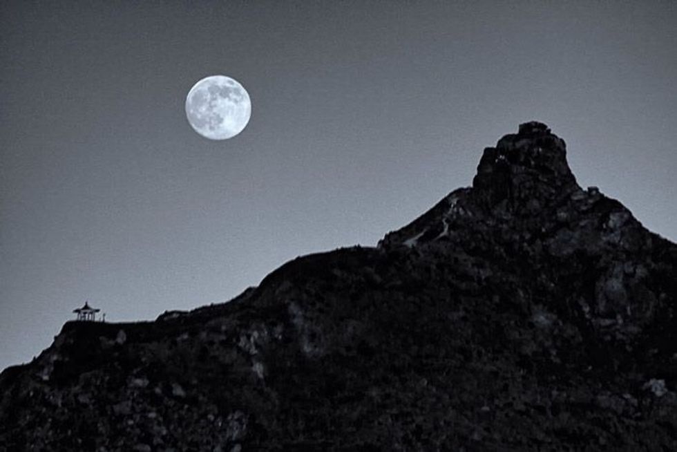 Poetry on the Odyssey: A series of truthful moments