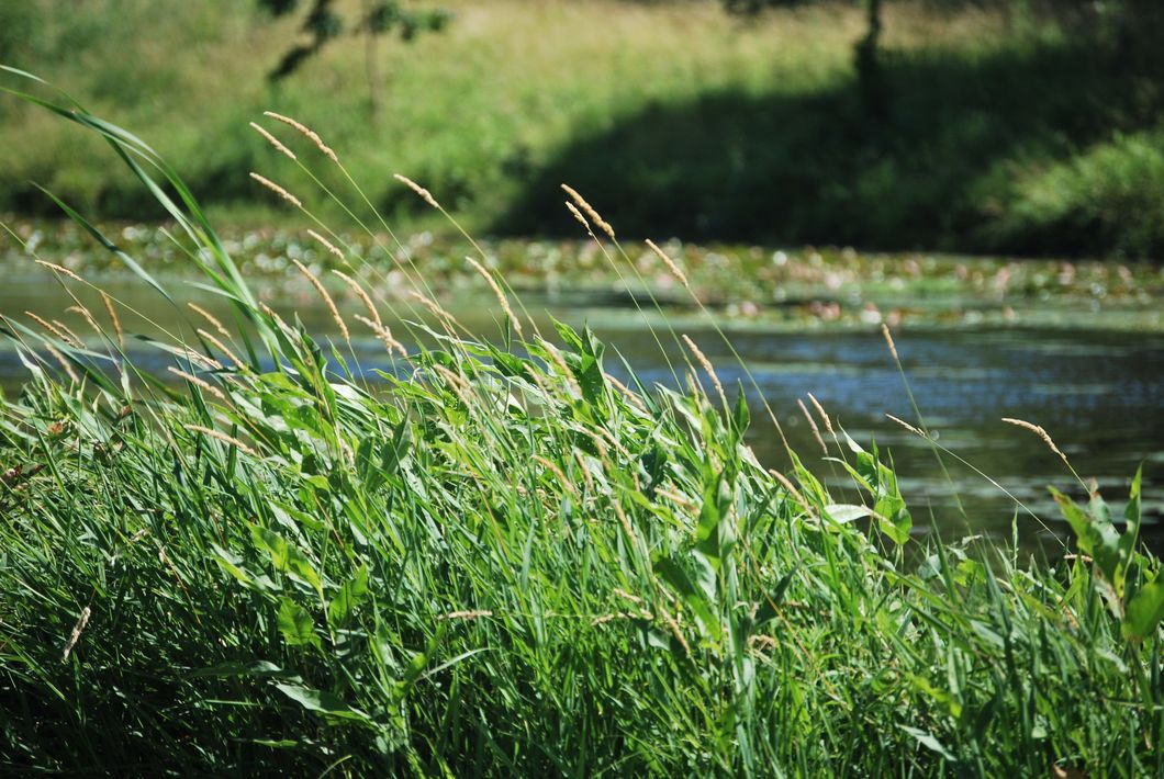 How To Prepare Yourself For The New School Year