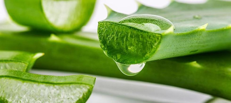 5 Aloe Vera Beauty Hacks For Every Skincare Regimen