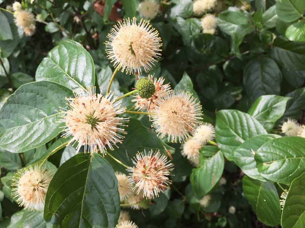 Spending A Day With Yourself Could Be The Best Thing You Do For Self-Care