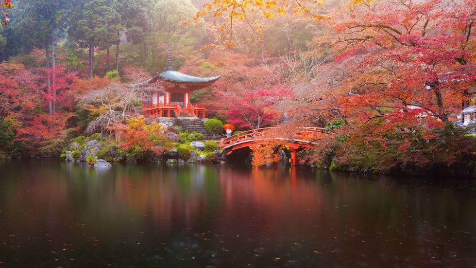 11 Beautiful Japanese Words That Don't Exist In English