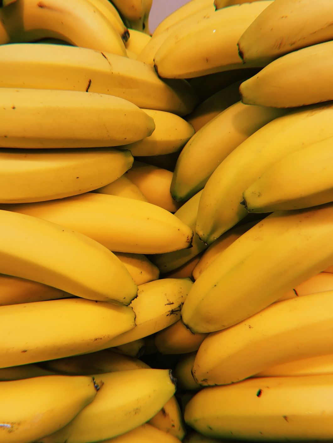 Bananas Are Headed For Extinction