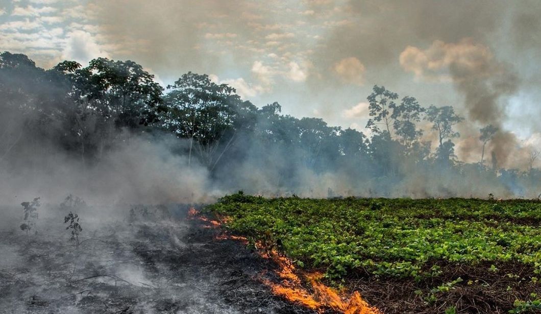 The Amazon Rainforest Is Burning At Record Pace