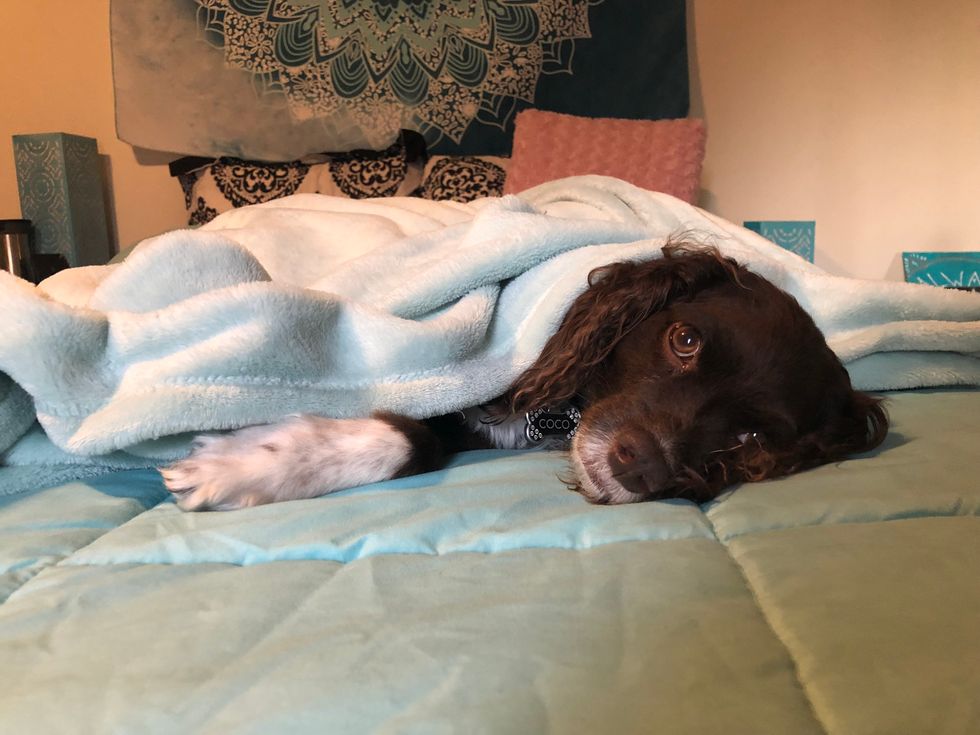 My Anxiety Feels Like A Permanent Weighted Blanket, But Not In The Comfortable, Cozy Way