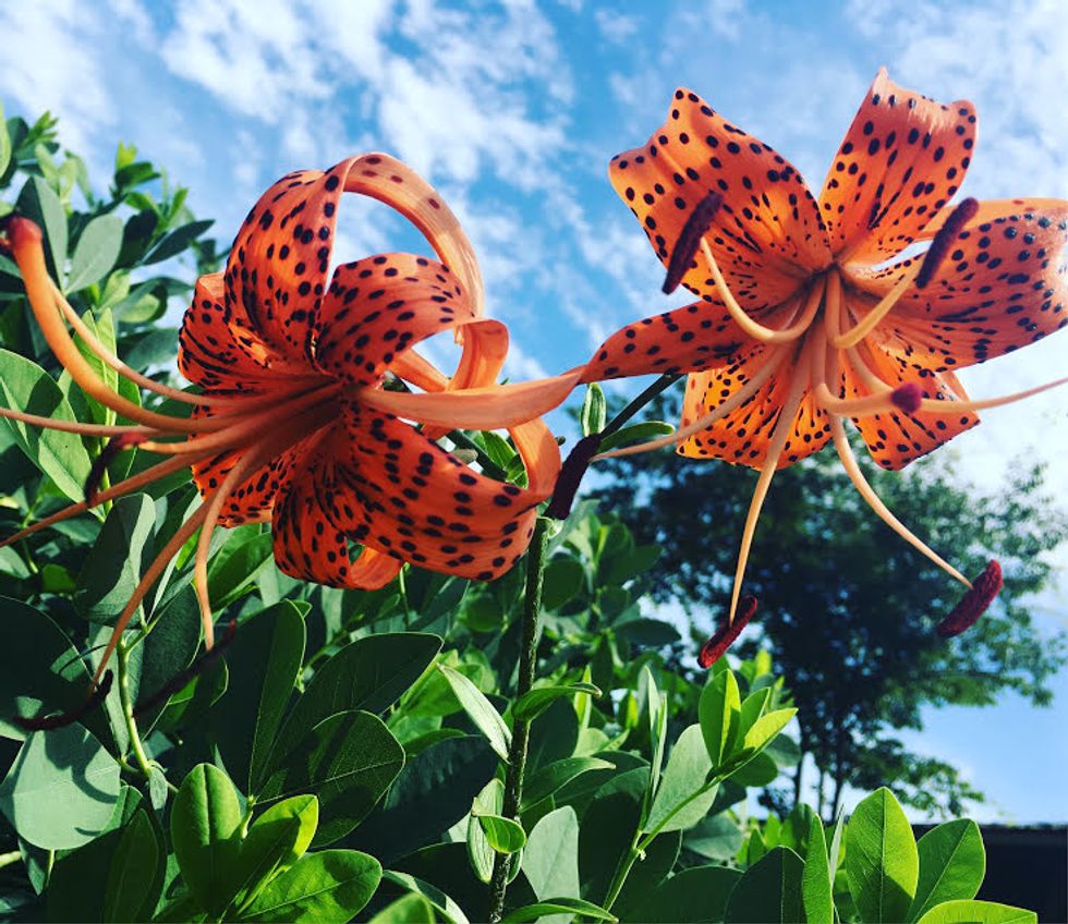 5 Things That Don't Have To End Just Because Summer Is