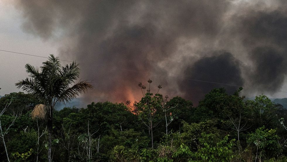 Why We Didn't Notice The Amazon Burning