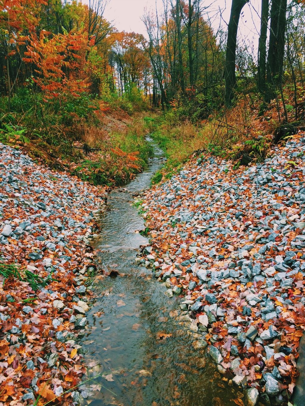 10 Reasons Fall Is The Best Season